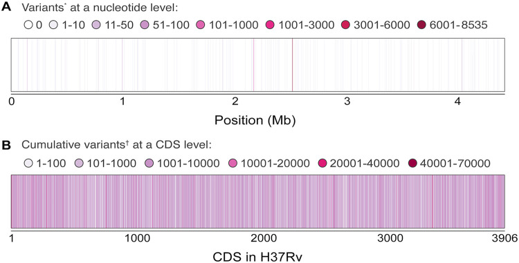 FIG 1