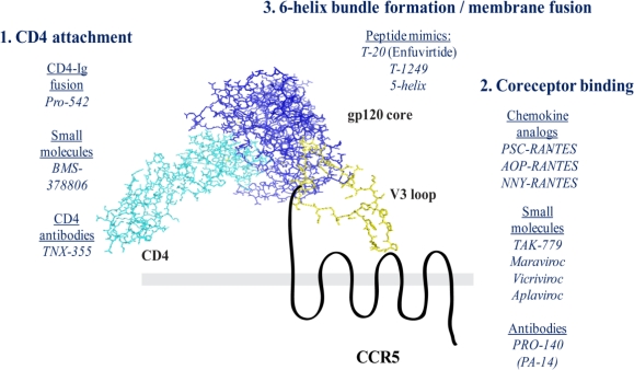 Figure 2.