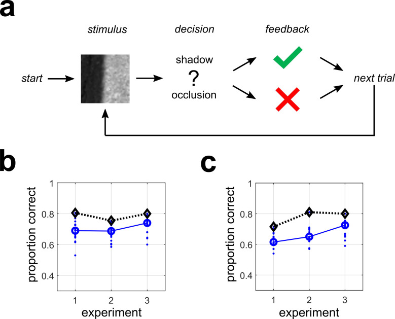 Fig 10