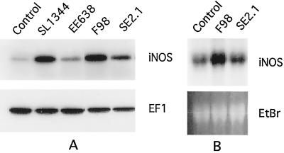 FIG. 8