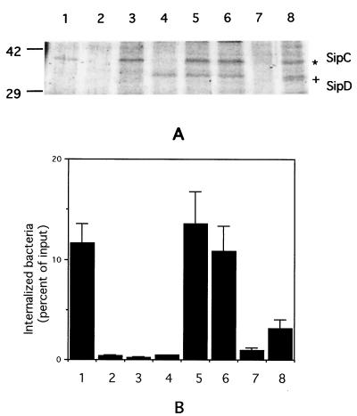 FIG. 6