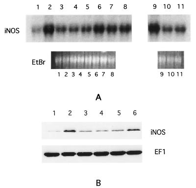 FIG. 7