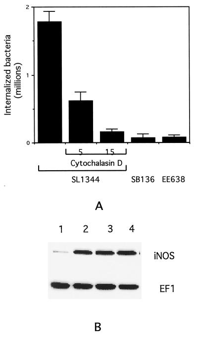 FIG. 4