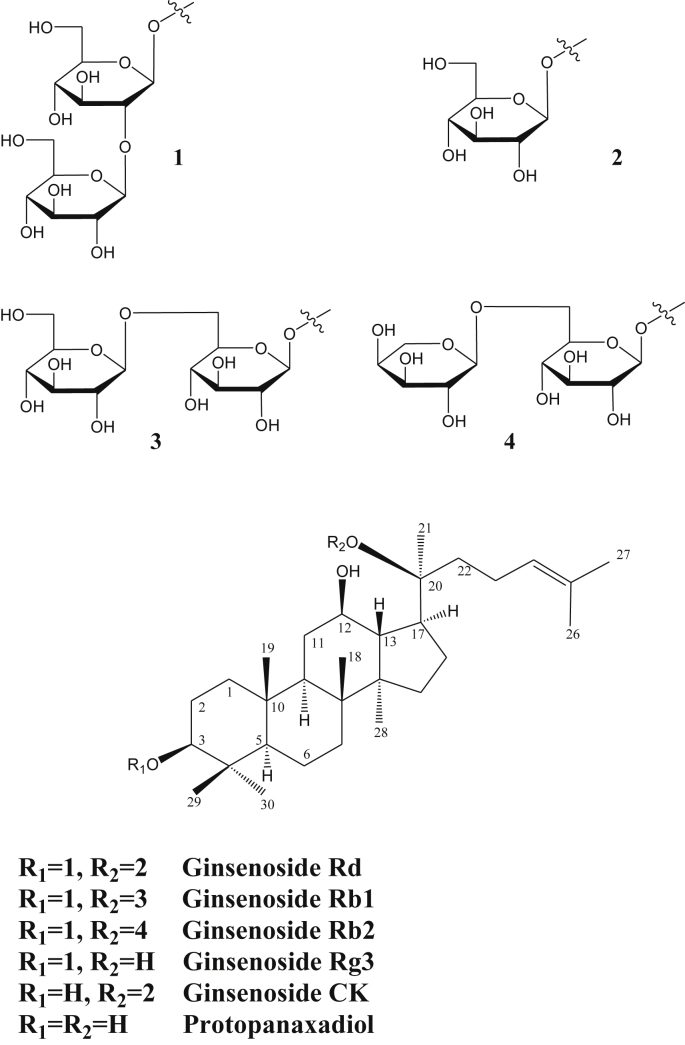 Fig. 1