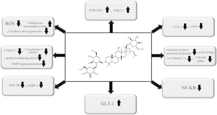 Fig. 2