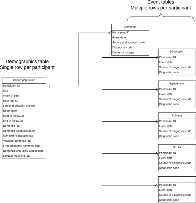 Figure 1: Format of SAIL dementia e-cohort