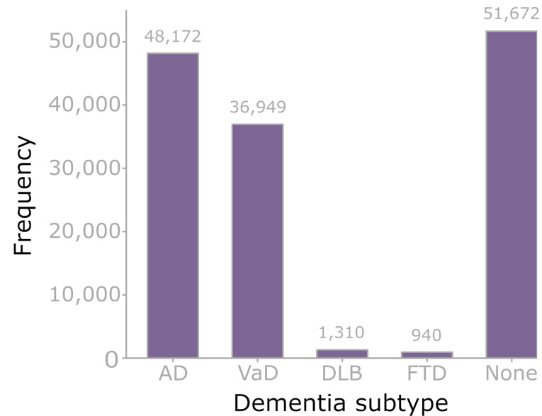 Figure 3: Dementia subtypes