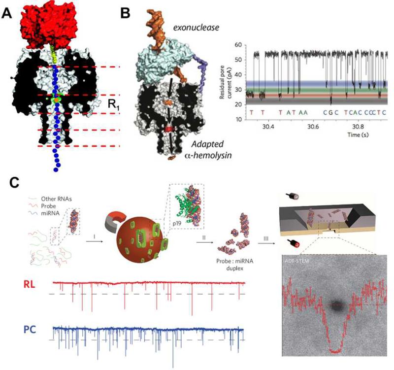 Fig 6