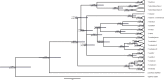 Fig 5