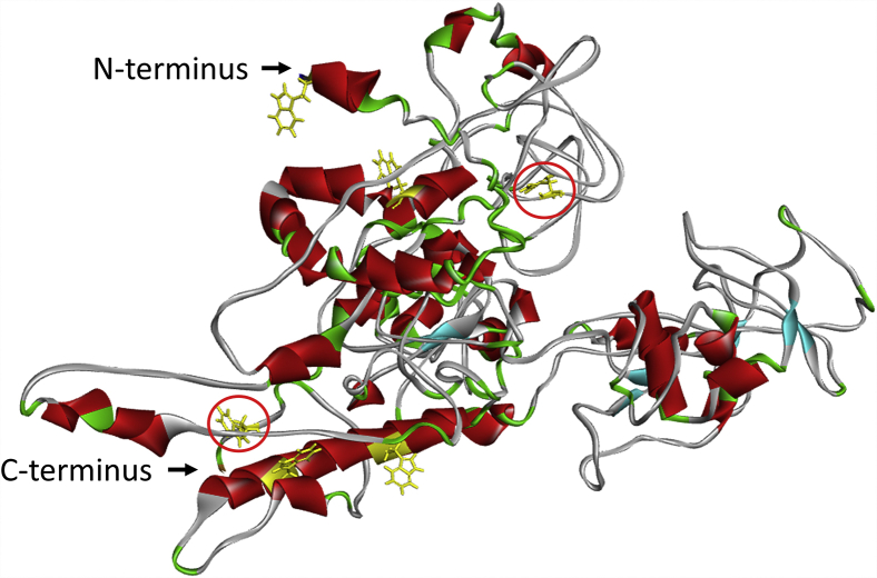 Figure 3