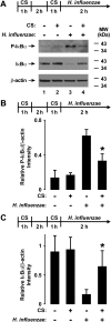 Figure 9.