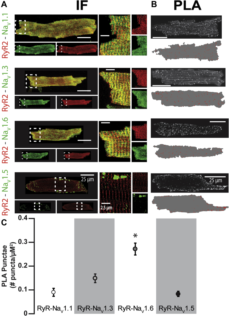 Figure 4