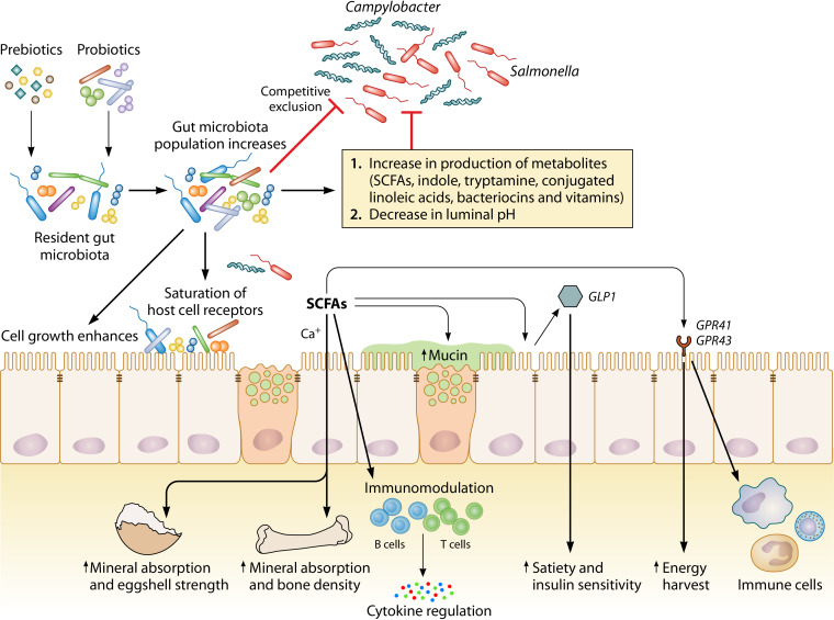 FIG 4