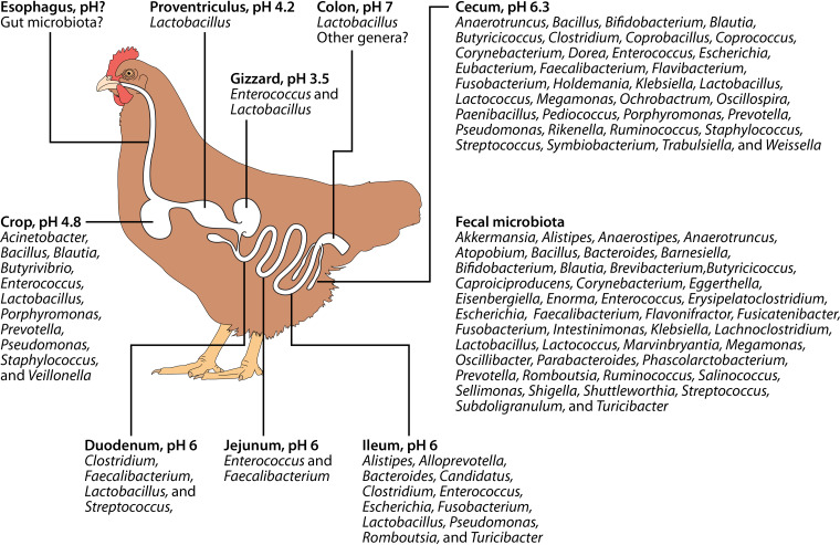 FIG 1