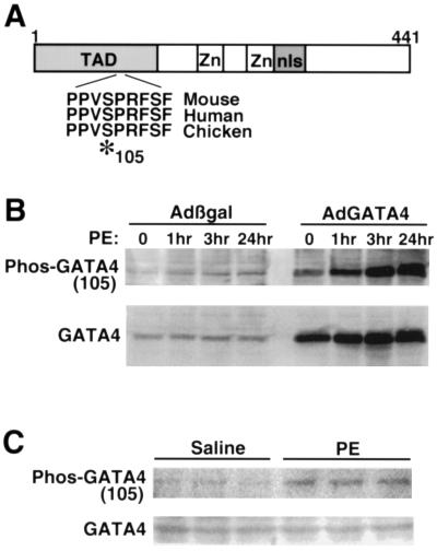 FIG. 1