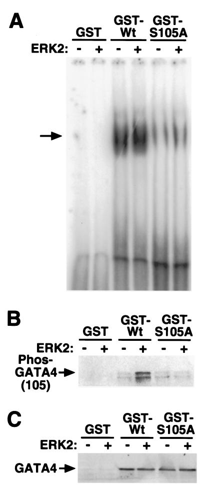 FIG. 5