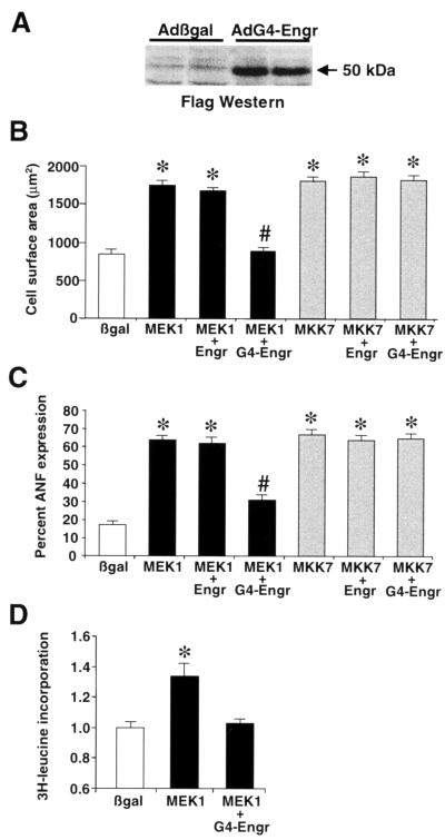 FIG. 7