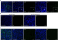Extended Data Fig. 8