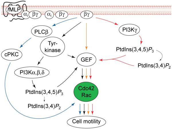 FIGURE 4