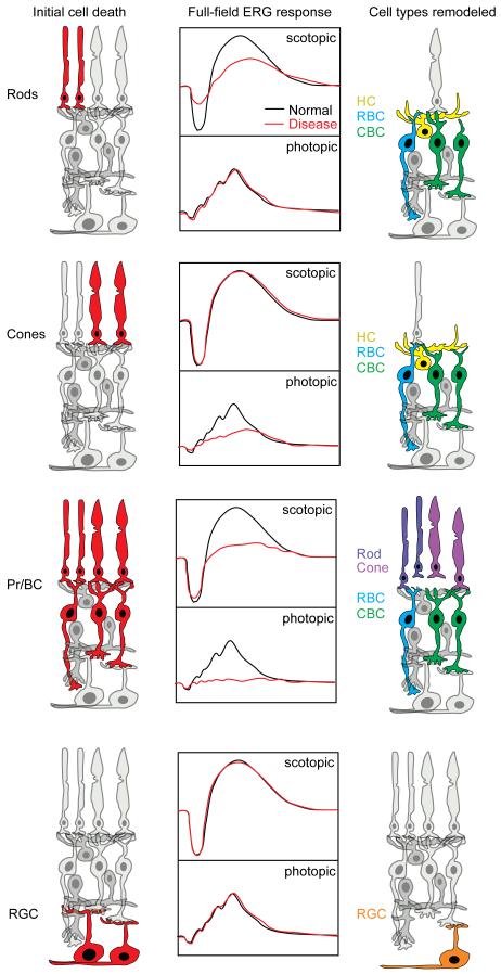 Figure 19