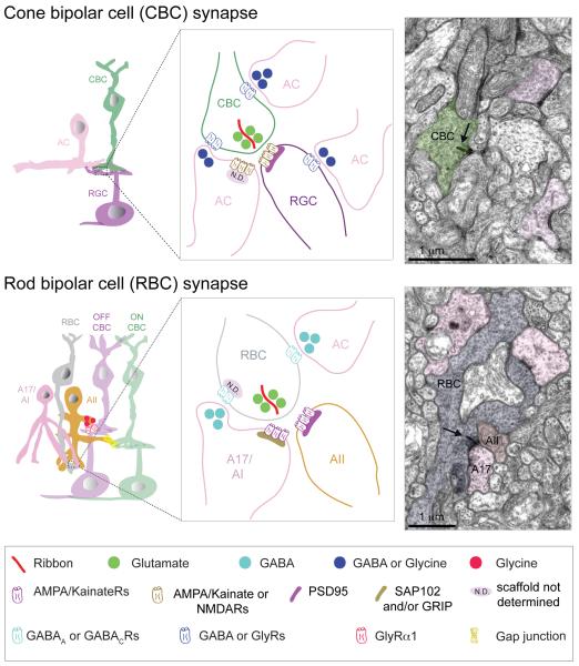 Figure 14