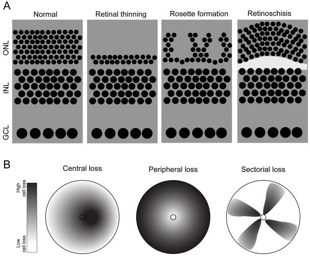 Figure 18