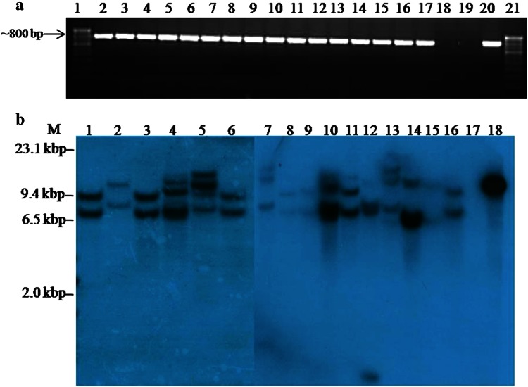 Fig. 3