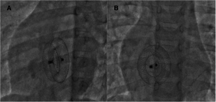 Fig. 7