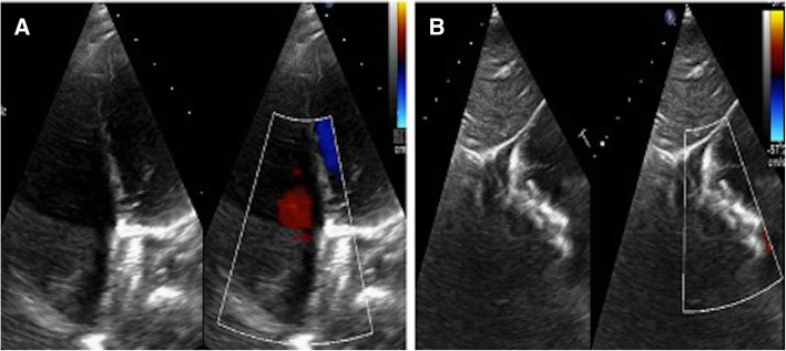 Fig. 8