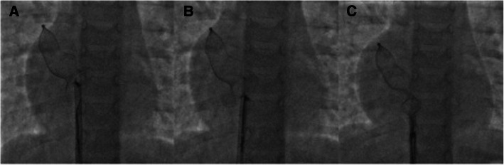 Fig. 5