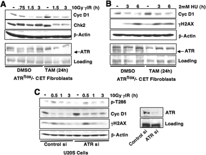 FIG. 6.