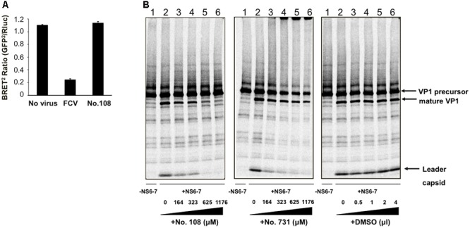 FIGURE 3