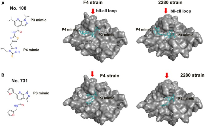 FIGURE 5