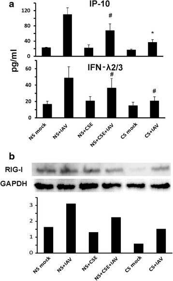 Fig. 5