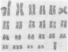 226