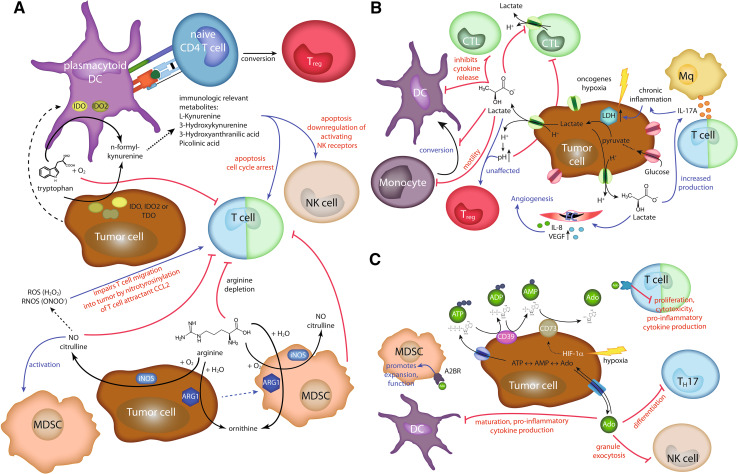 Fig. 2