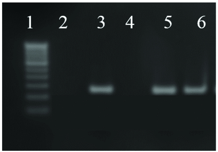 [Table/Fig-1]: