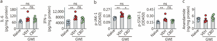 Fig. 6