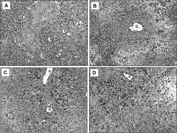 FIG. 7.