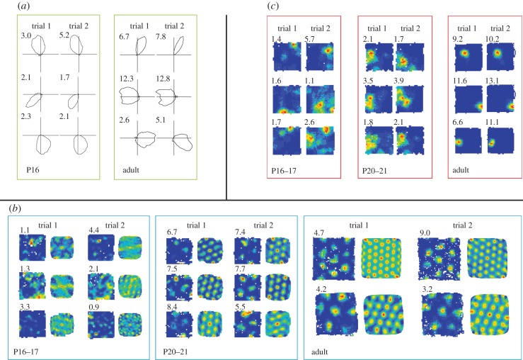 Figure 2.