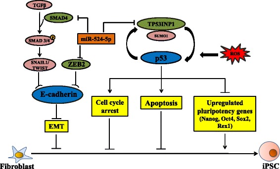 Fig. 7