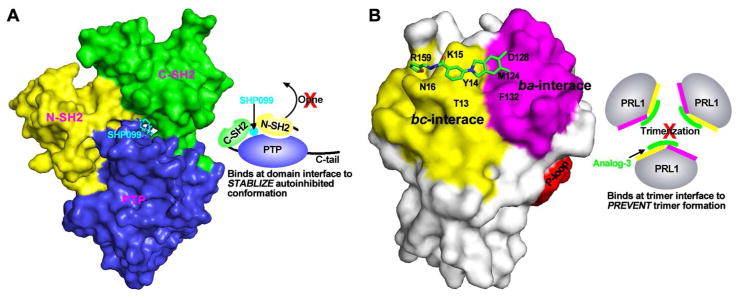 Figure 13