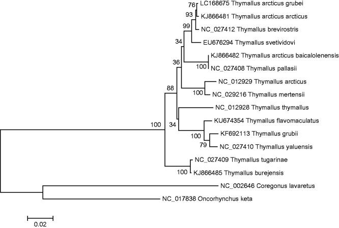 Figure 1.