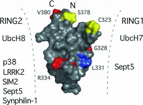 Fig. 5.