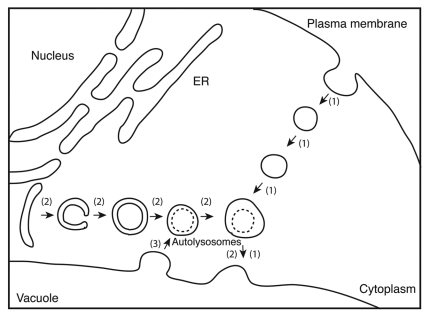 Figure 1.