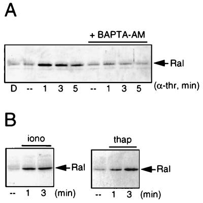 FIG. 5