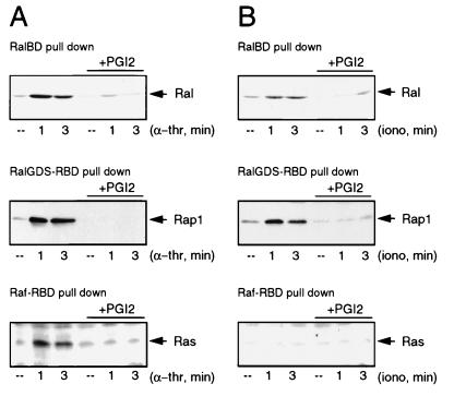 FIG. 6