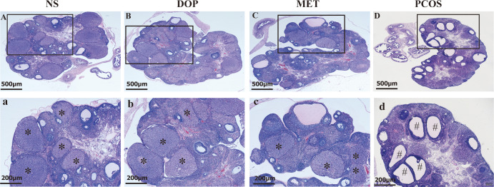 Figure 4