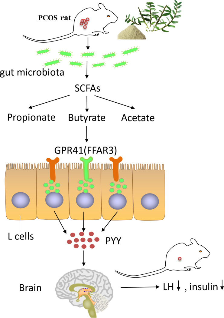 Figure 10