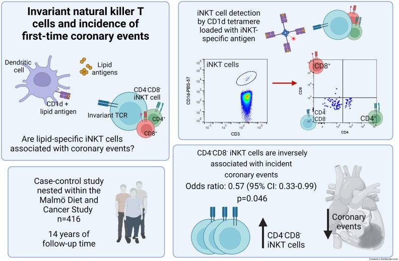 Graphical abstract